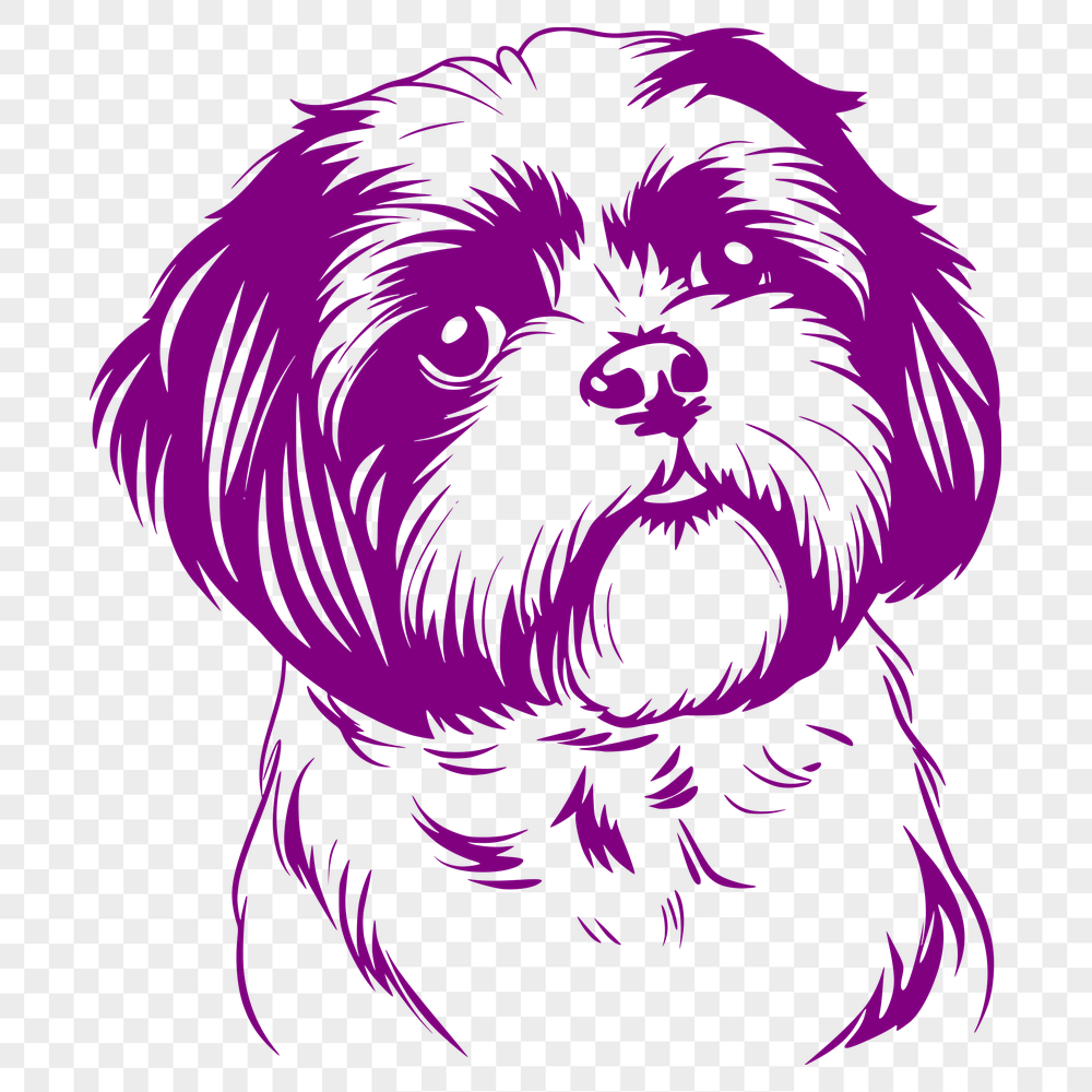 Free Shih Tzu In SVG & DXF