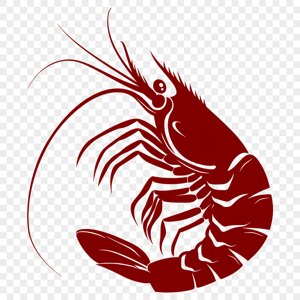 Unique Prawn Vector Illustration