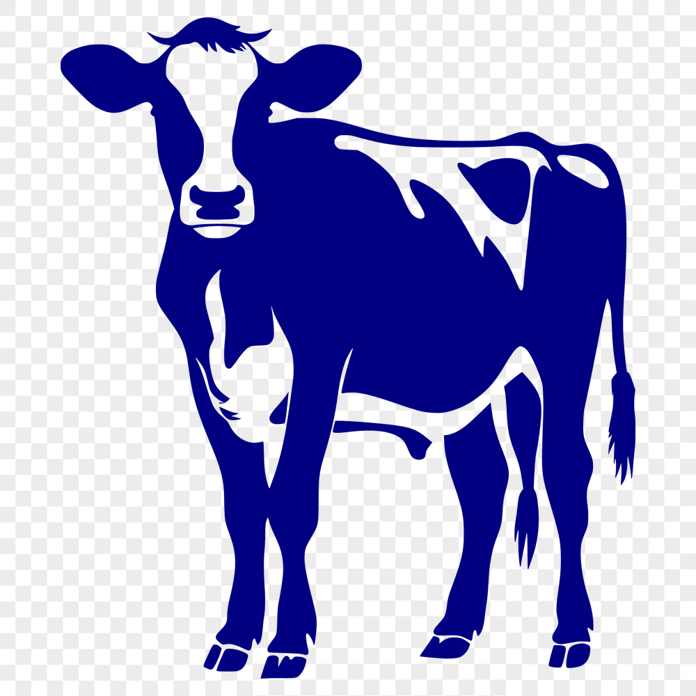 Creative Cow Vector Illustration