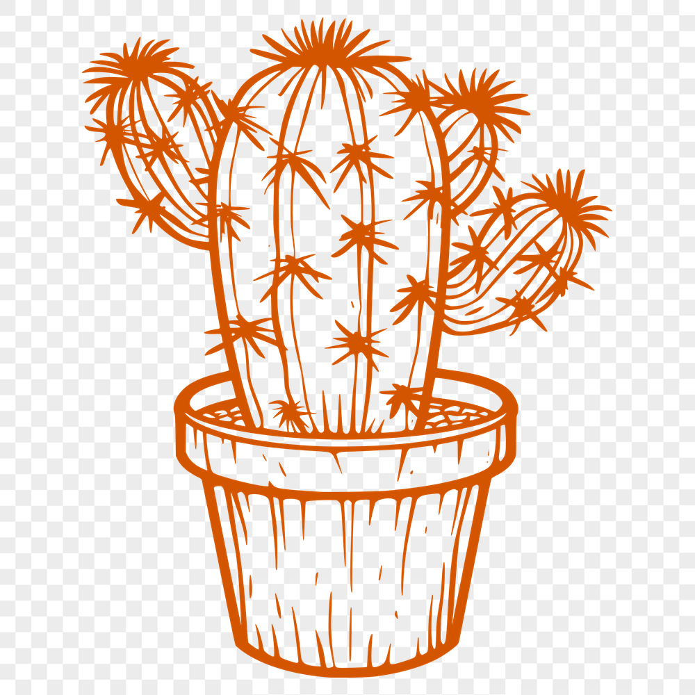 Free Creative Cactus Drawing