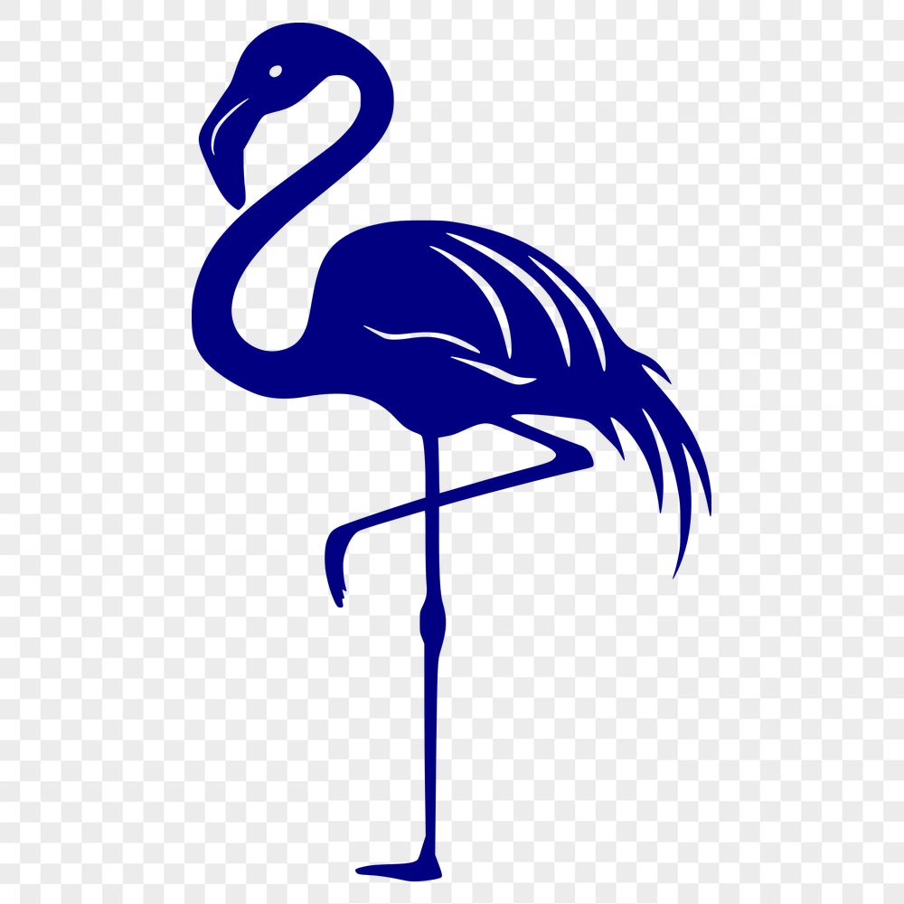 Beautiful Flamingo Illustration