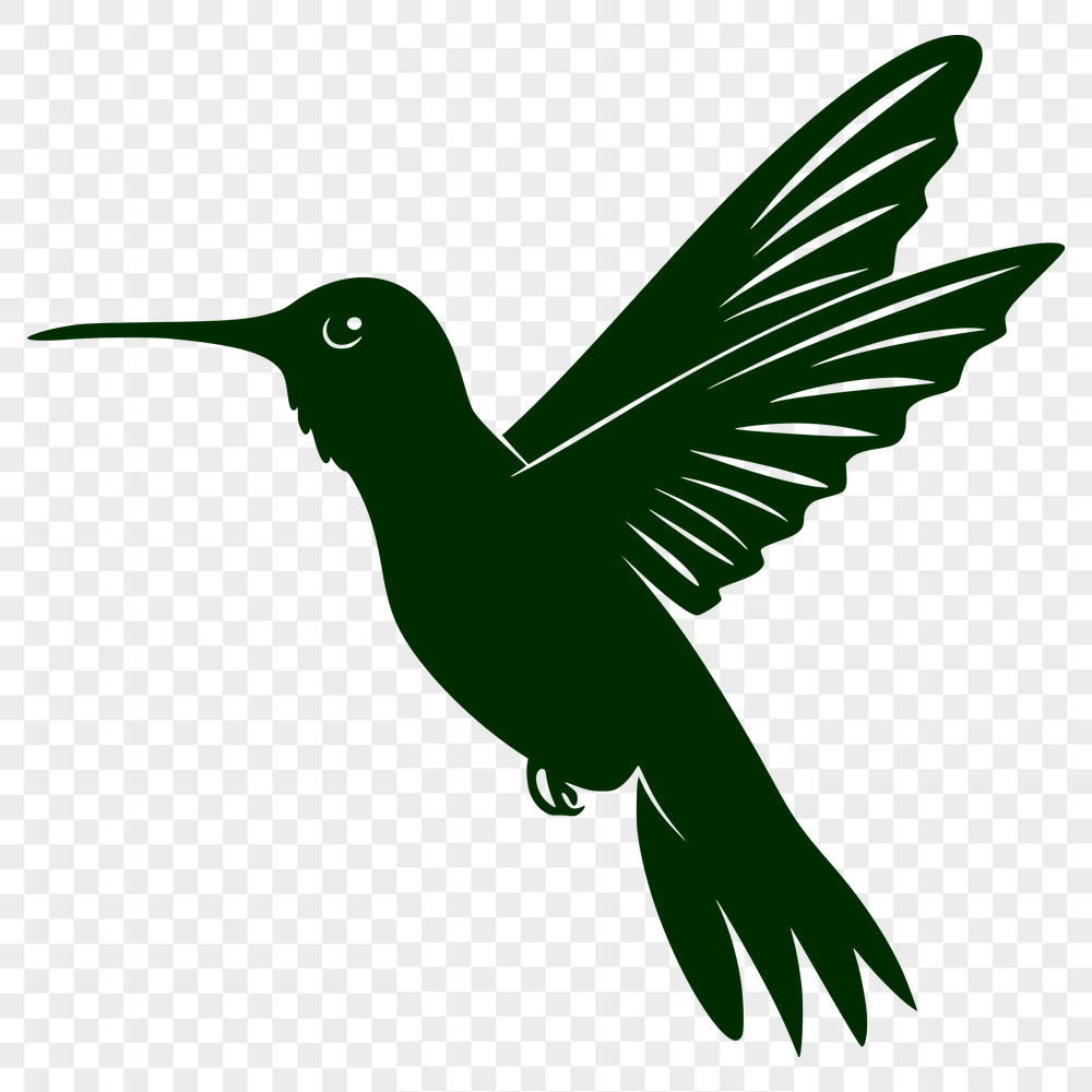 Stunning Flying Hummingbird PNG