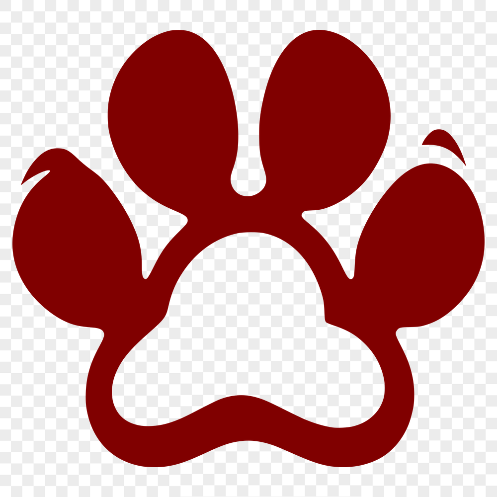 Stunning Paw - Vinyl SVG Free Download