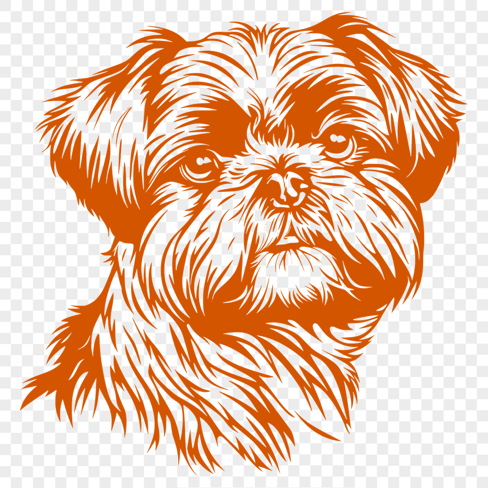 Unique Shih Tzu Vector Image