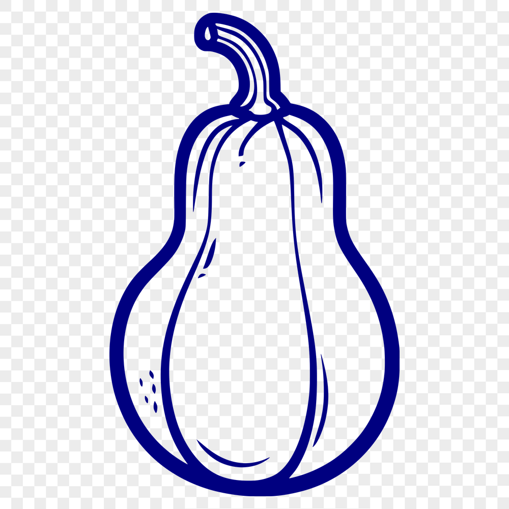 Free Unique Squash Vector Art