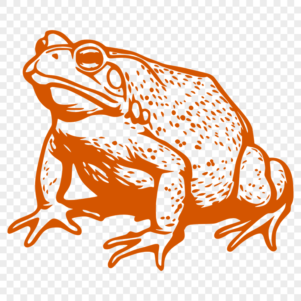 Free Unique Toad Digital Drawing