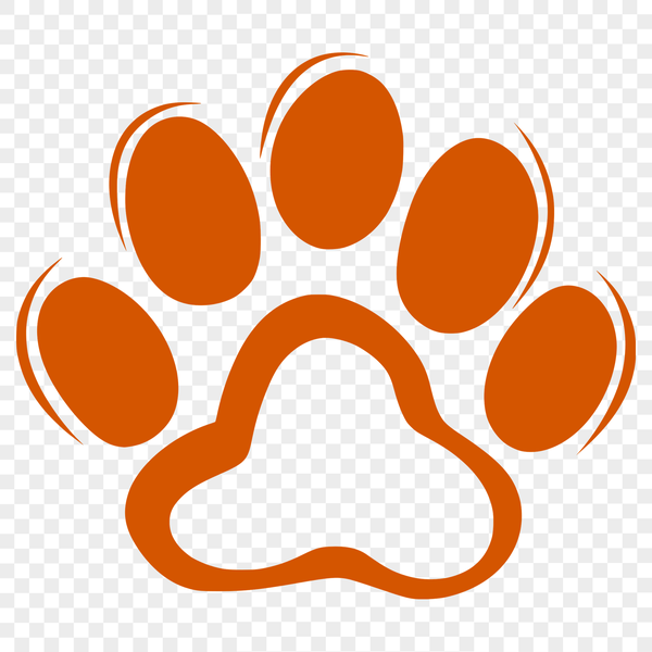 Colorful Animal Footprints Graphic A high-quality illustration of animal paw prints in various colors.