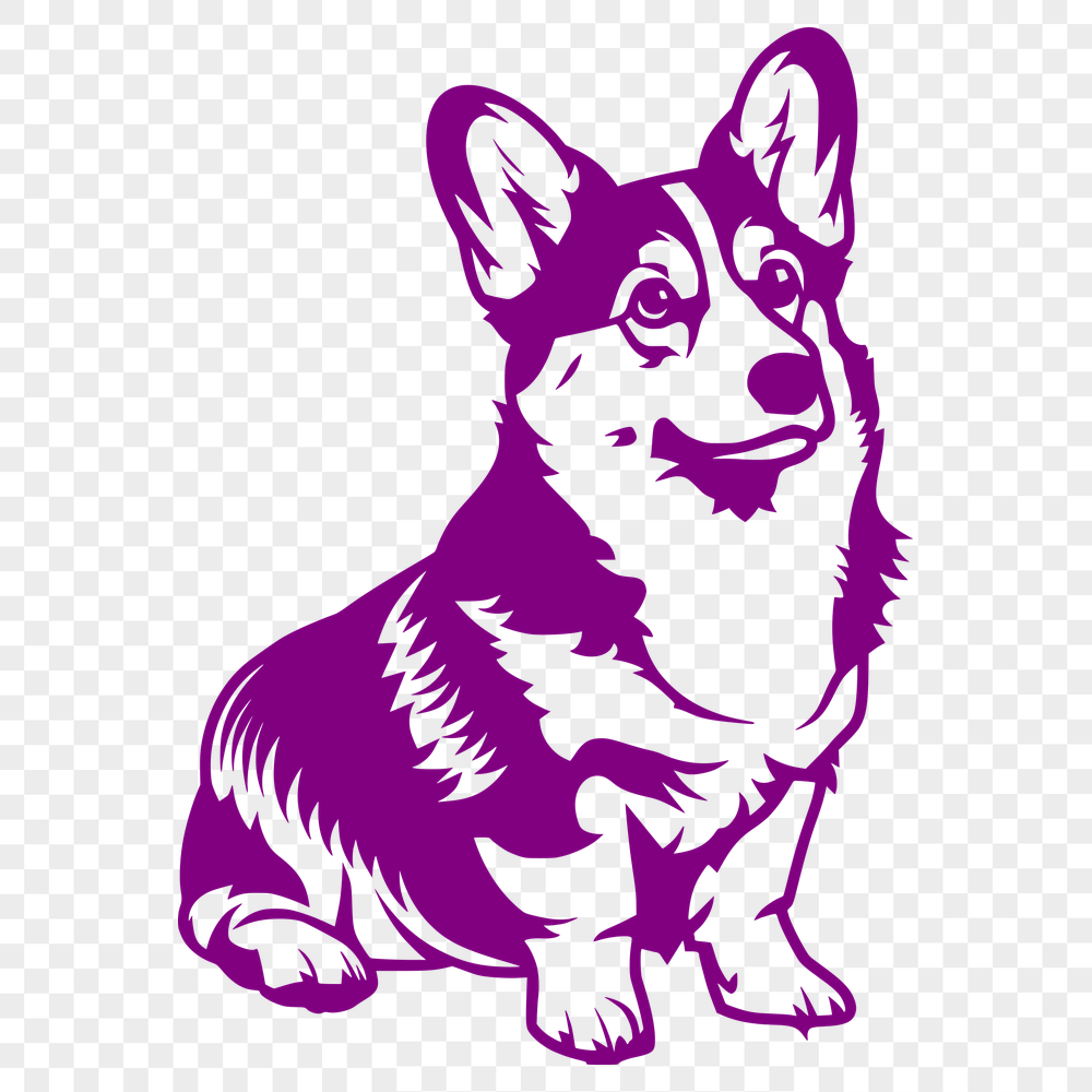 Stunning Sitting Welsh Corgi - PDF