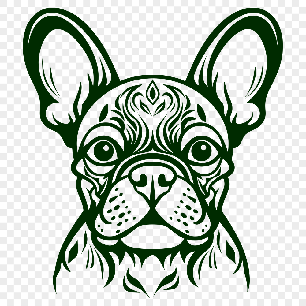 Stunning French Bulldog PNG