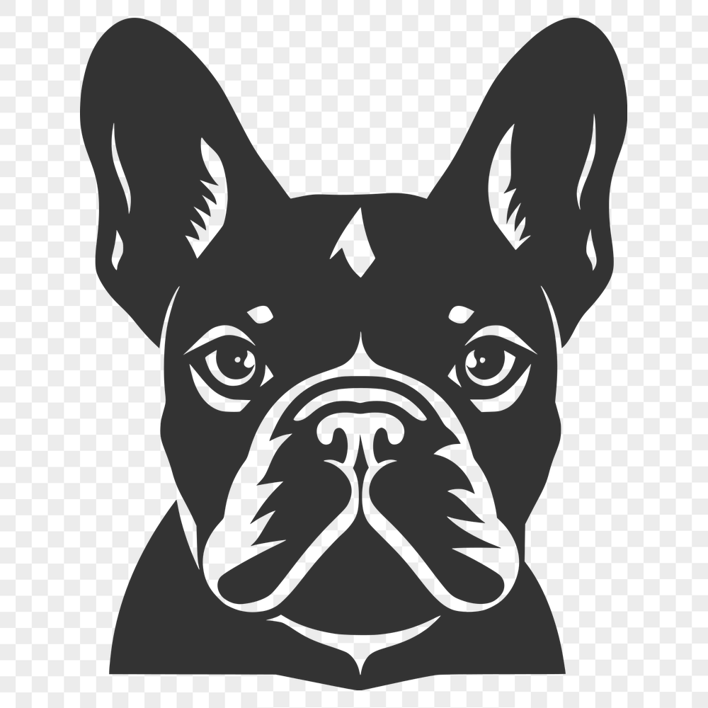 Free French Bulldog PNG