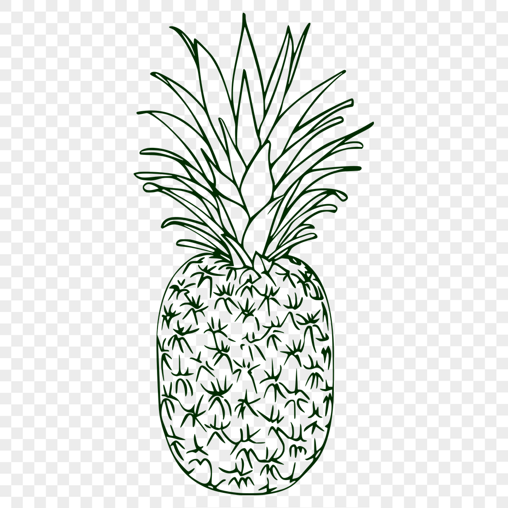 Beautiful Pineapple - PDF Format