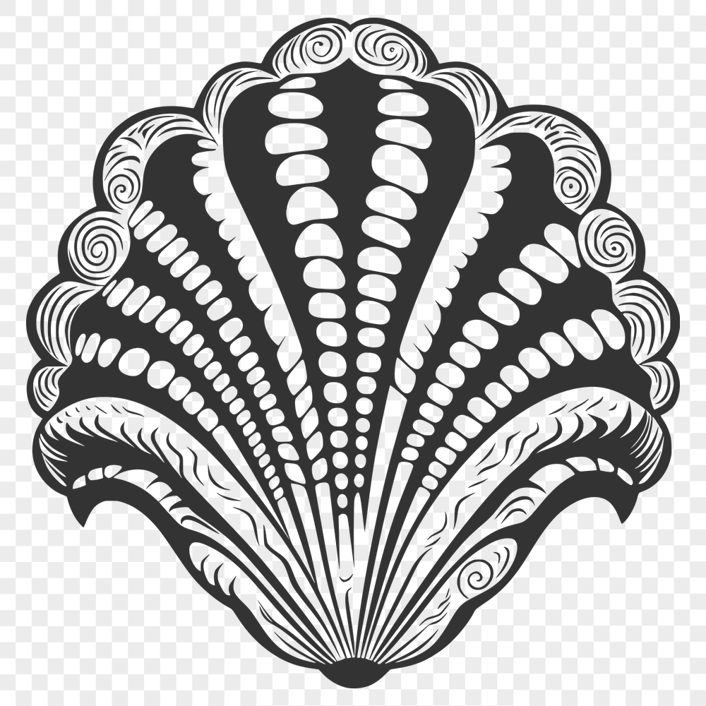 Artistic Seashell In SVG, PNG, PDF And DXF File Formats - Free