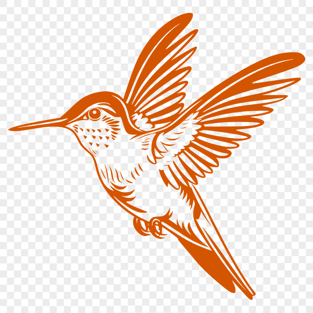 Free Hummingbird - Cricut PNG