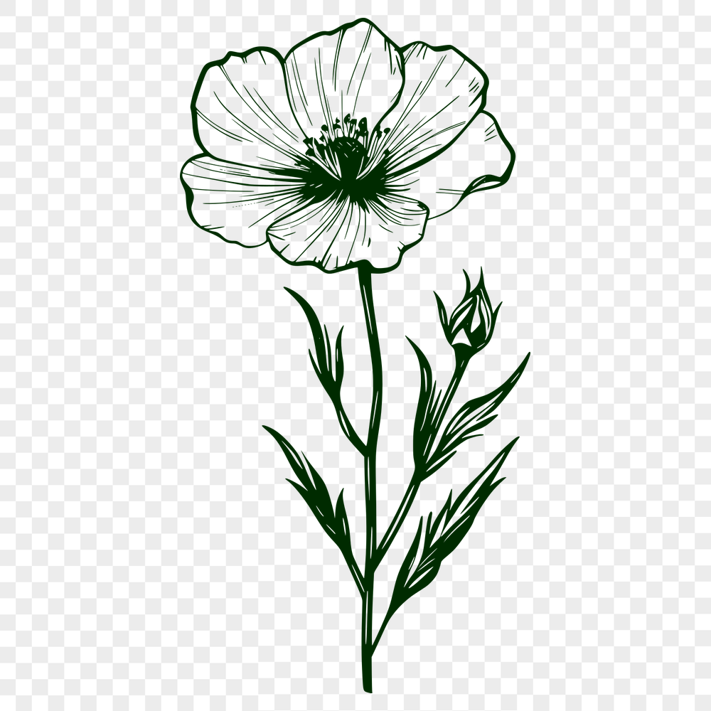 Floral Wild Flower Vector Illustration - Free SVG Download