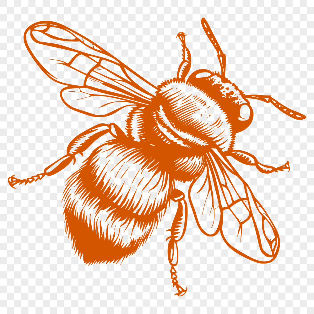 Free Free Bee Clipart