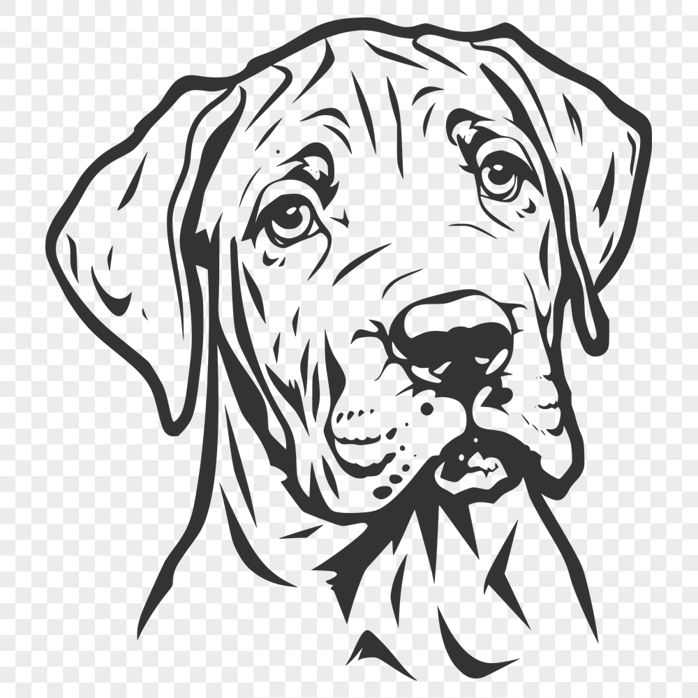 Free Creative Great Dane Artwork