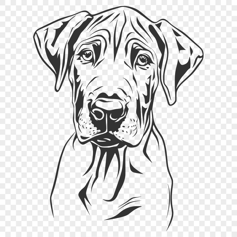 Artistic Great Dane - For Pet Project