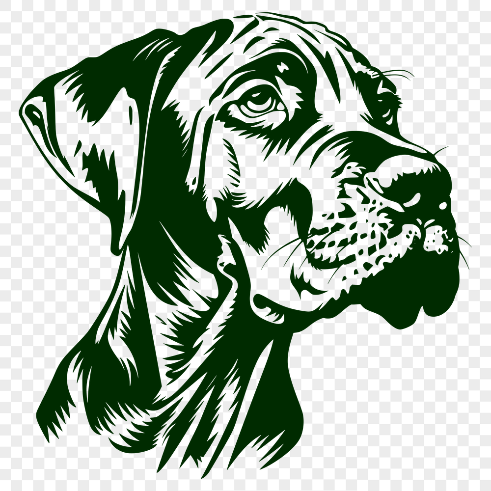 Creative Great Dane Drawing