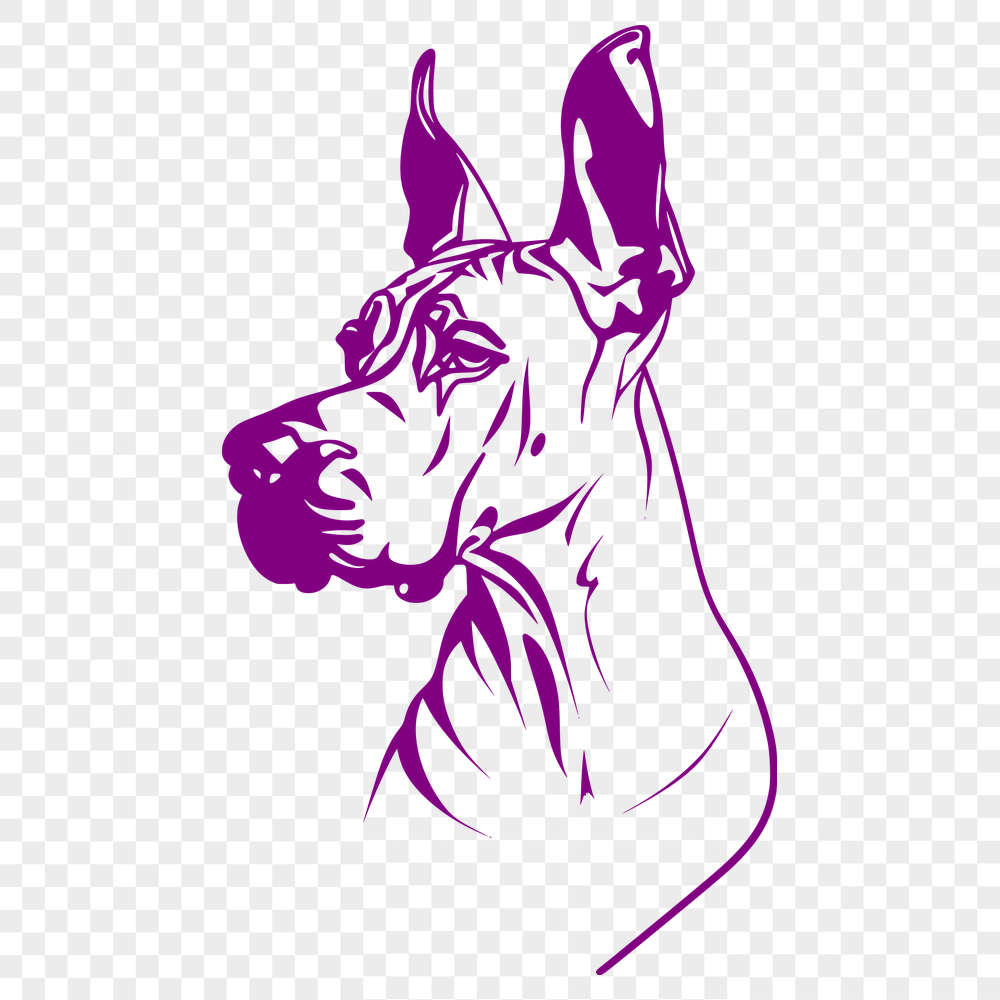 Unique Great Dane - For Pet Project