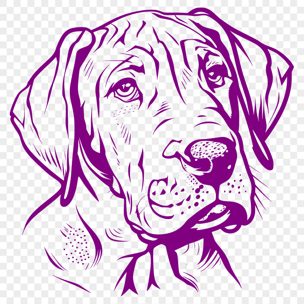 Free Beautiful Great Dane Stencil