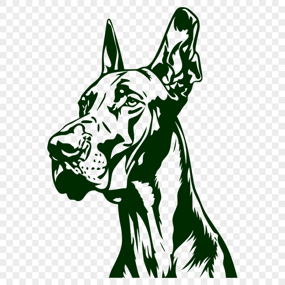 Free Great Dane Artwork