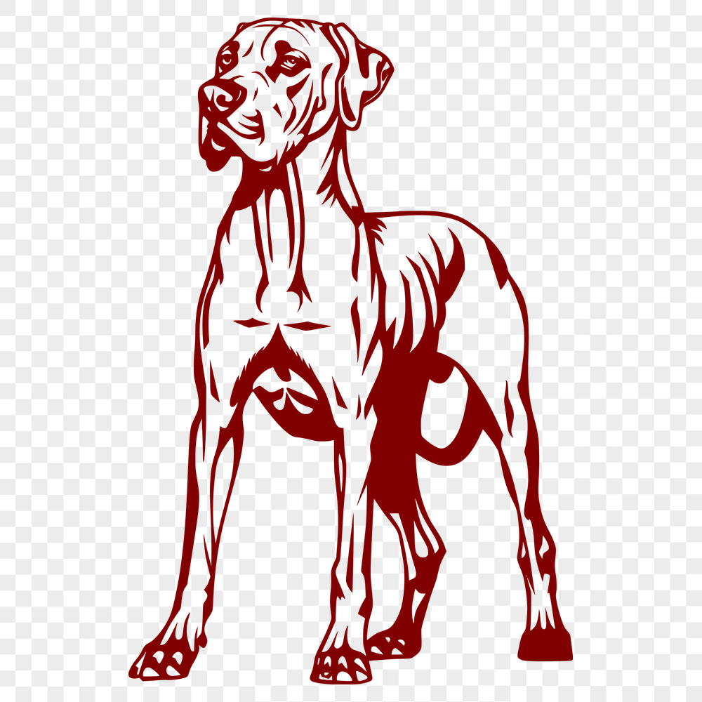 Beautiful Great Dane Artwork