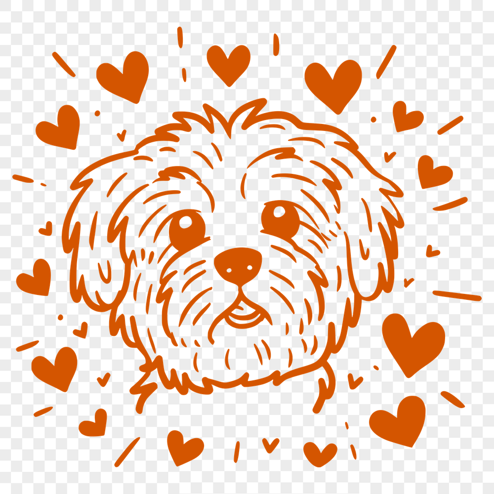 Free Creative Havanese Clip Art