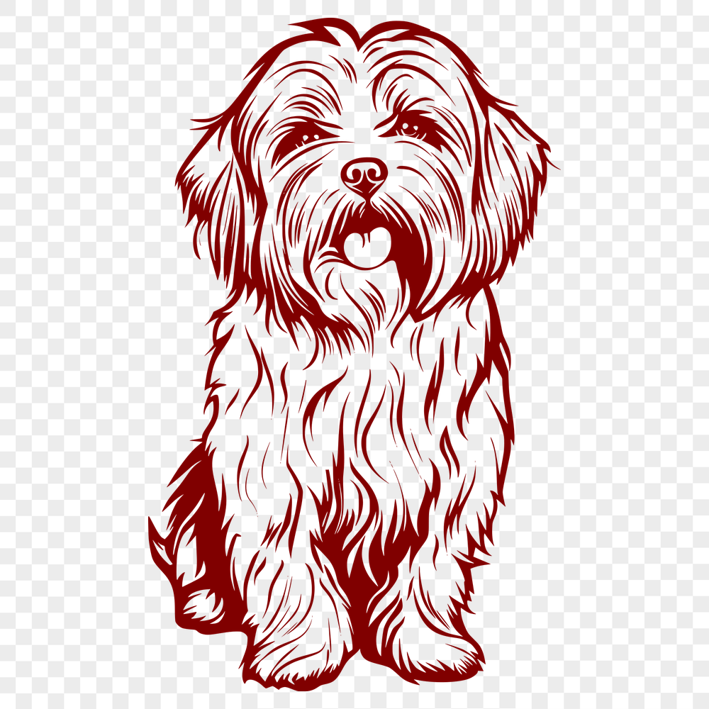 Artistic Havanese SVG, PNG, PDF And DXF Files