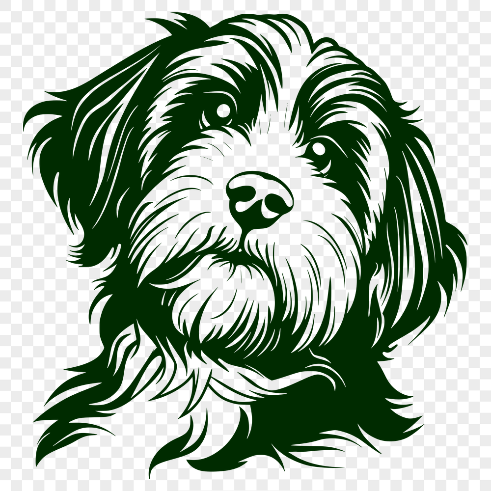 Free Havanese Clipart