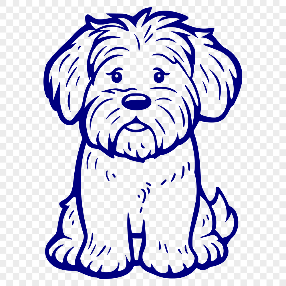 Free Beautiful Havanese Vector Image