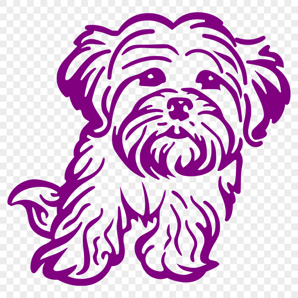 Sitting Havanese Decal