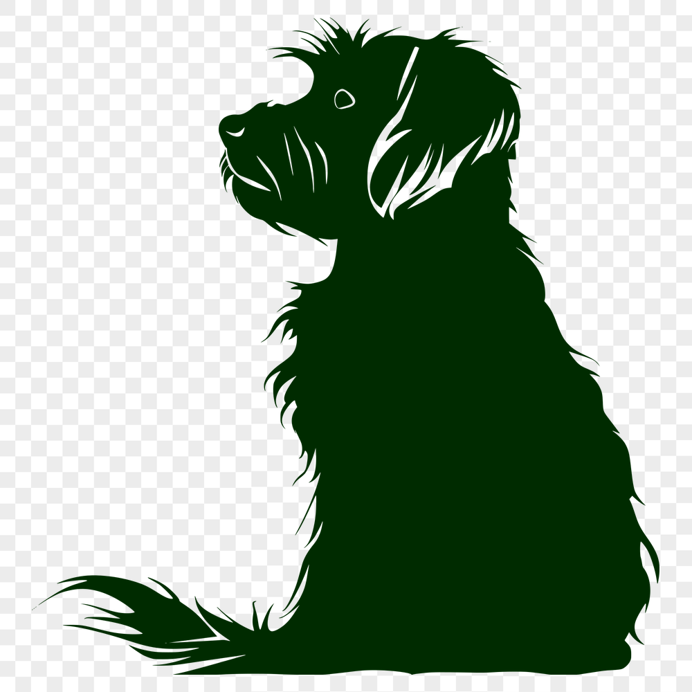 Artistic Havanese - For Laser Project