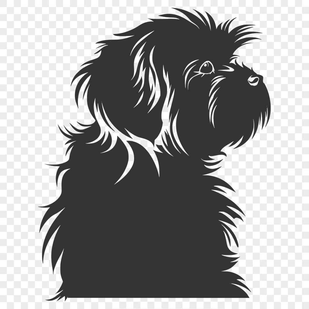 Free Stunning Havanese Artwork