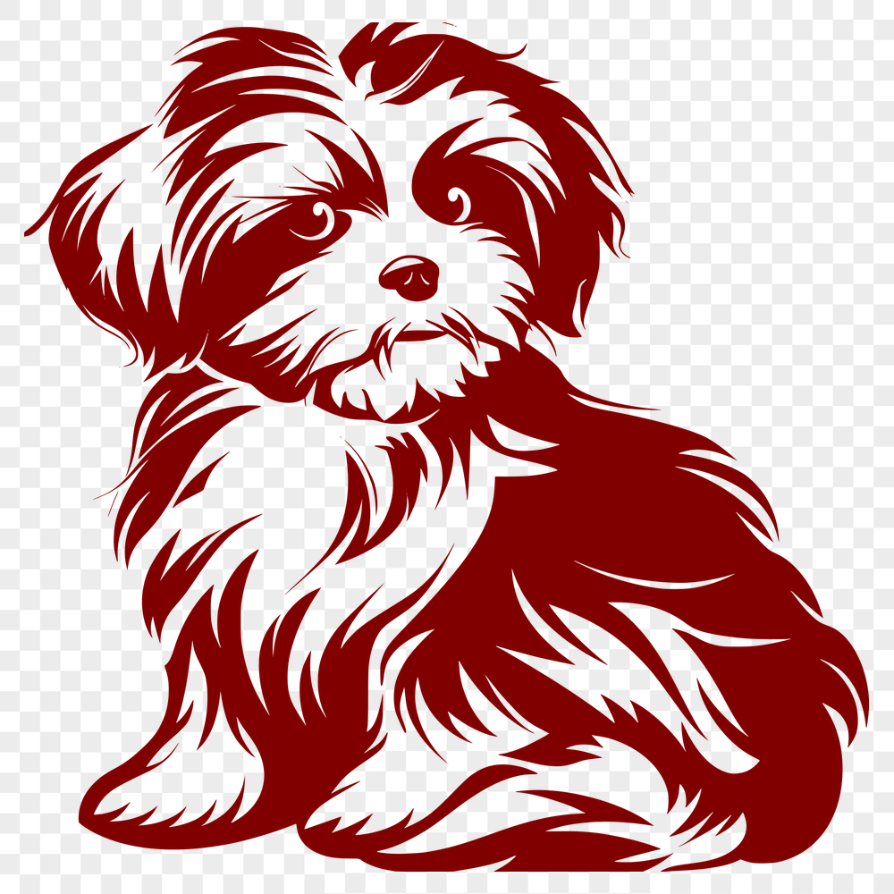 Unique Sitting Havanese DXF