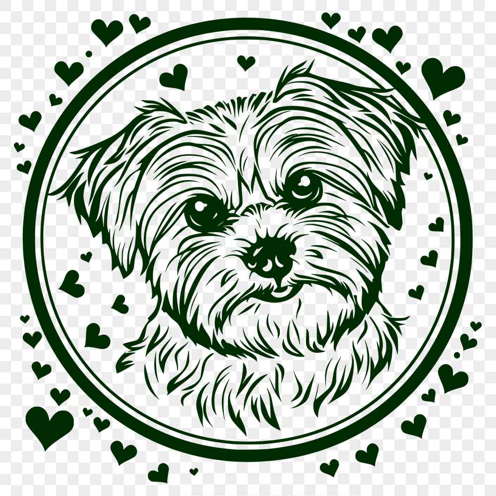 Unique Havanese Digital Art