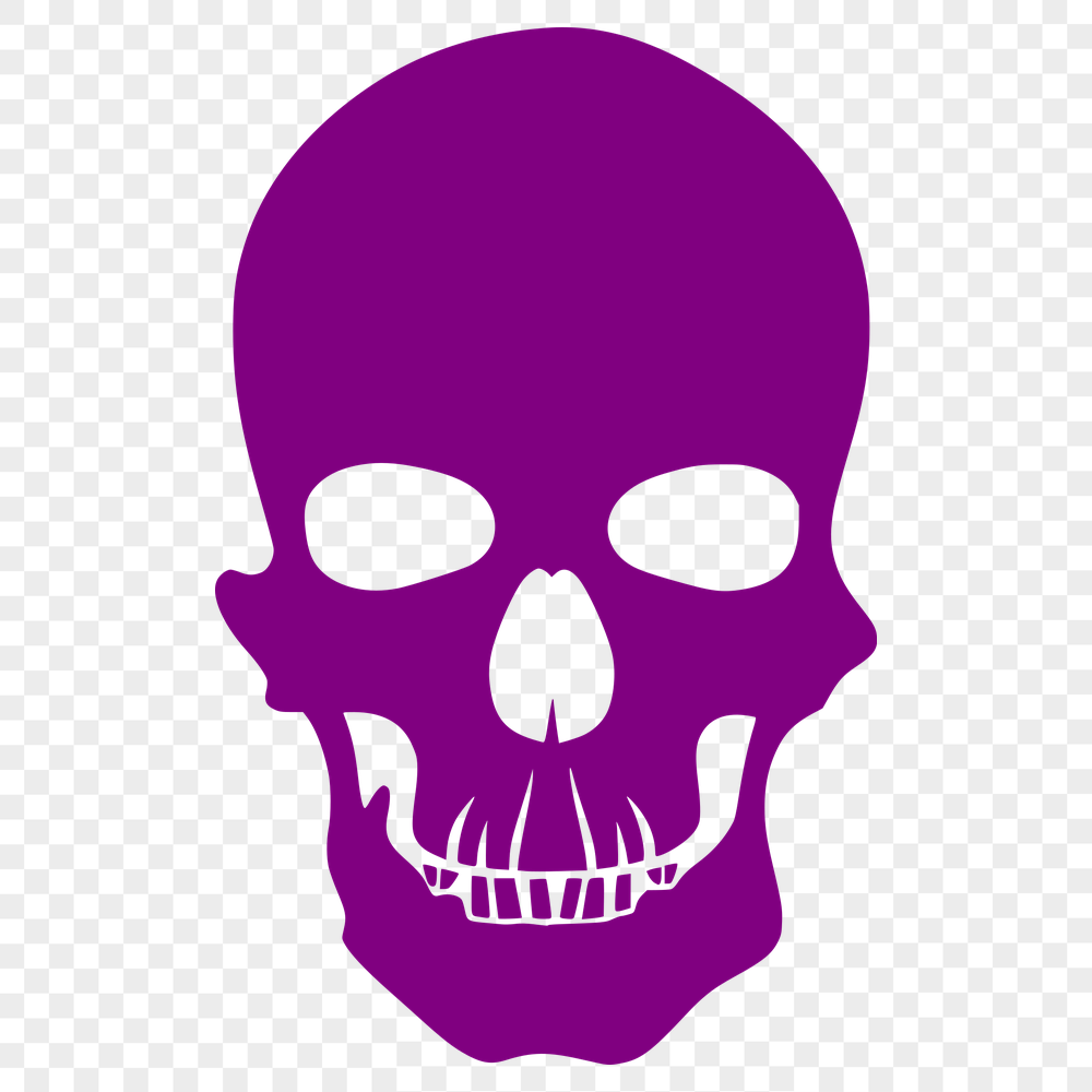 Stunning Skull - Laser Engraver PNG