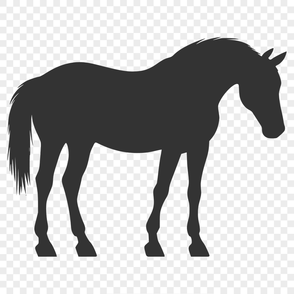 Beautiful Horse SVGs - Free Download