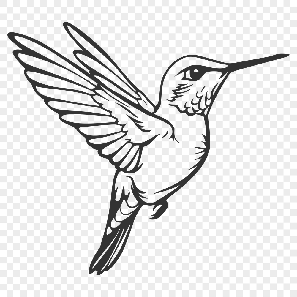 Beautiful Flying Hummingbird PNG