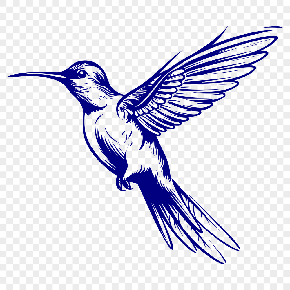 Artistic Bird In PNG & SVG