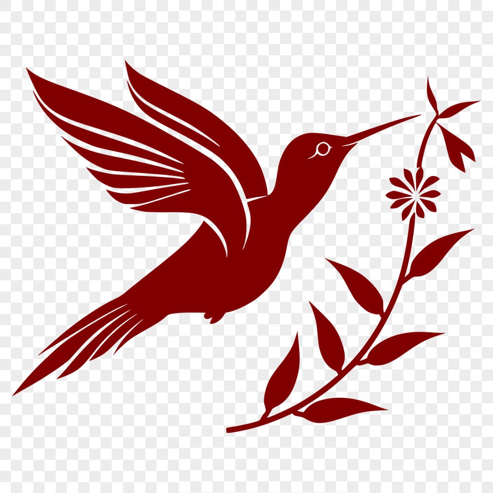 Stunning Hummingbird - PNG Format