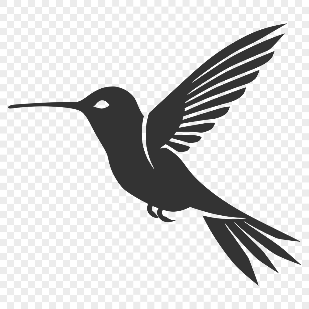 Beautiful Flying Hummingbird - SVG