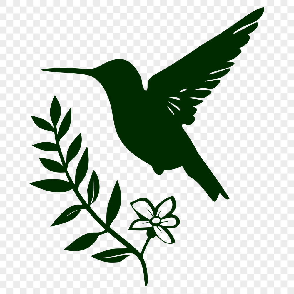 Floral Hummingbird In PNG & SVG