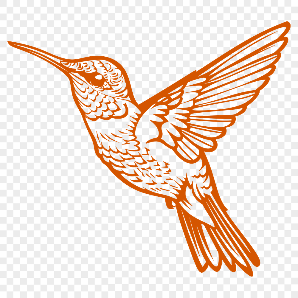 Artistic Hummingbird - PNG Format