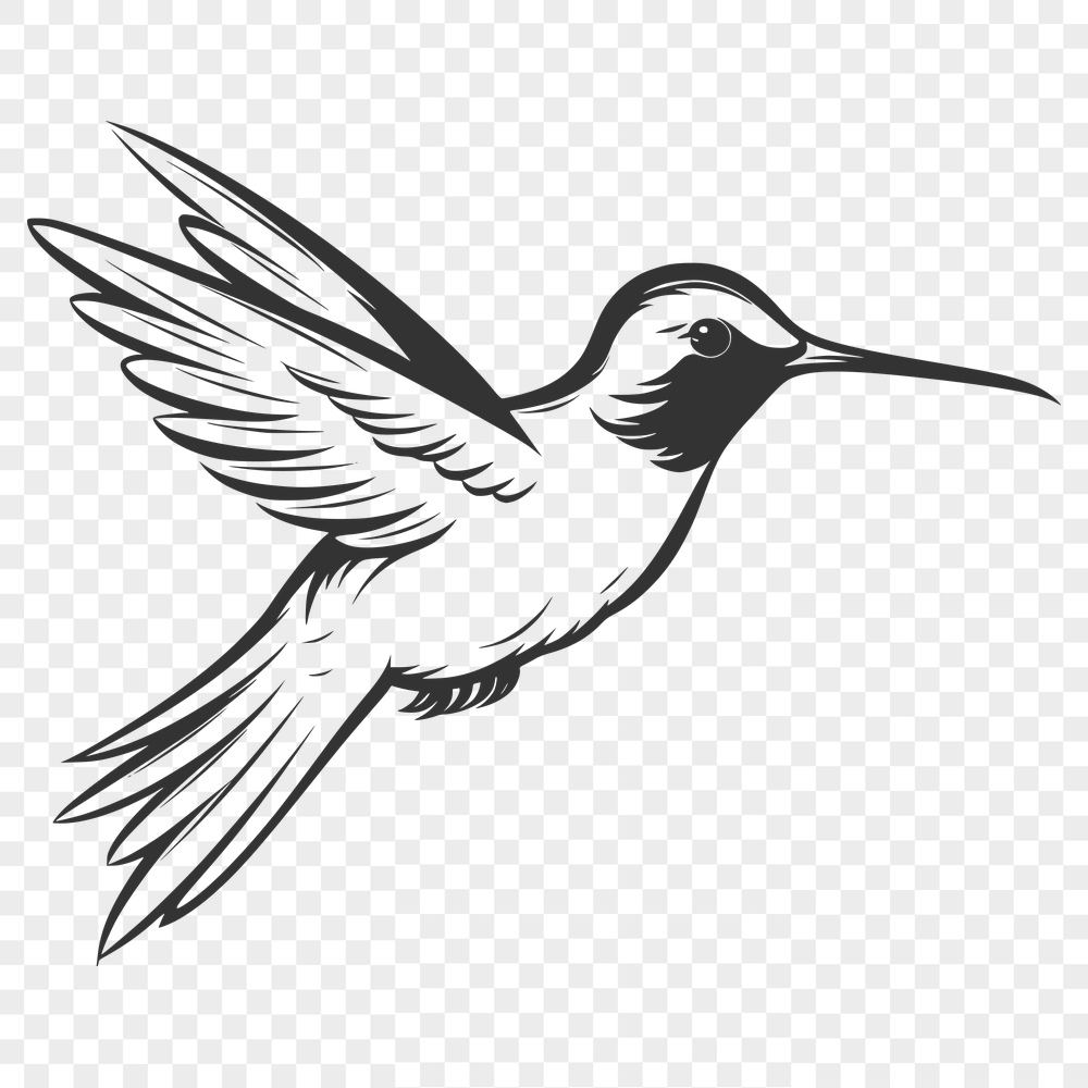 Creative Hummingbird In SVG & DXF