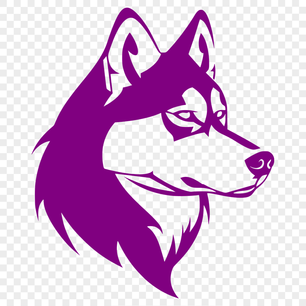 Artistic Husky Drawing