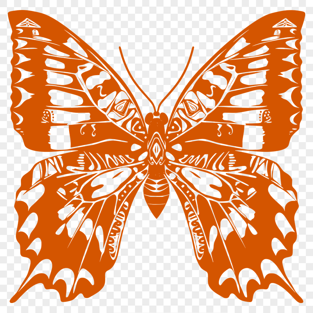 Free Beautiful Insect Vector Illustration