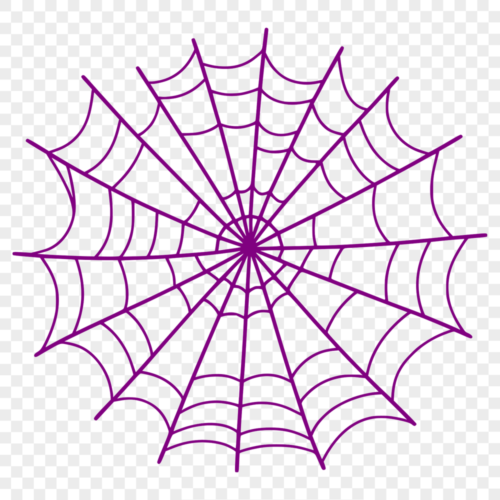 A detailed vector illustration of a classic spider web design.