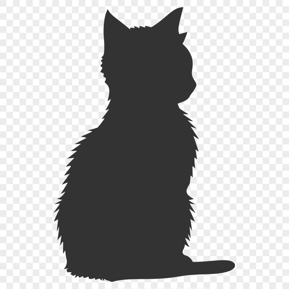 Creative Sitting Cat Drawing