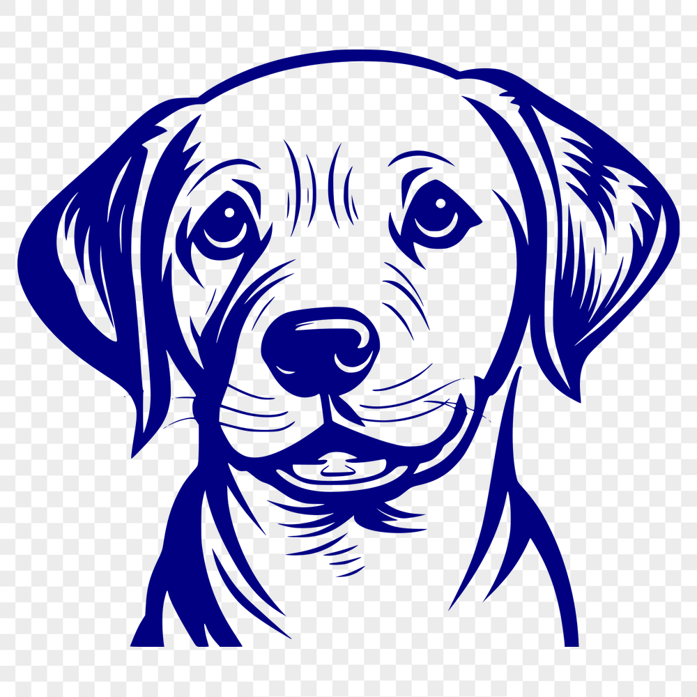 Beautiful Labrador Retriever SVG