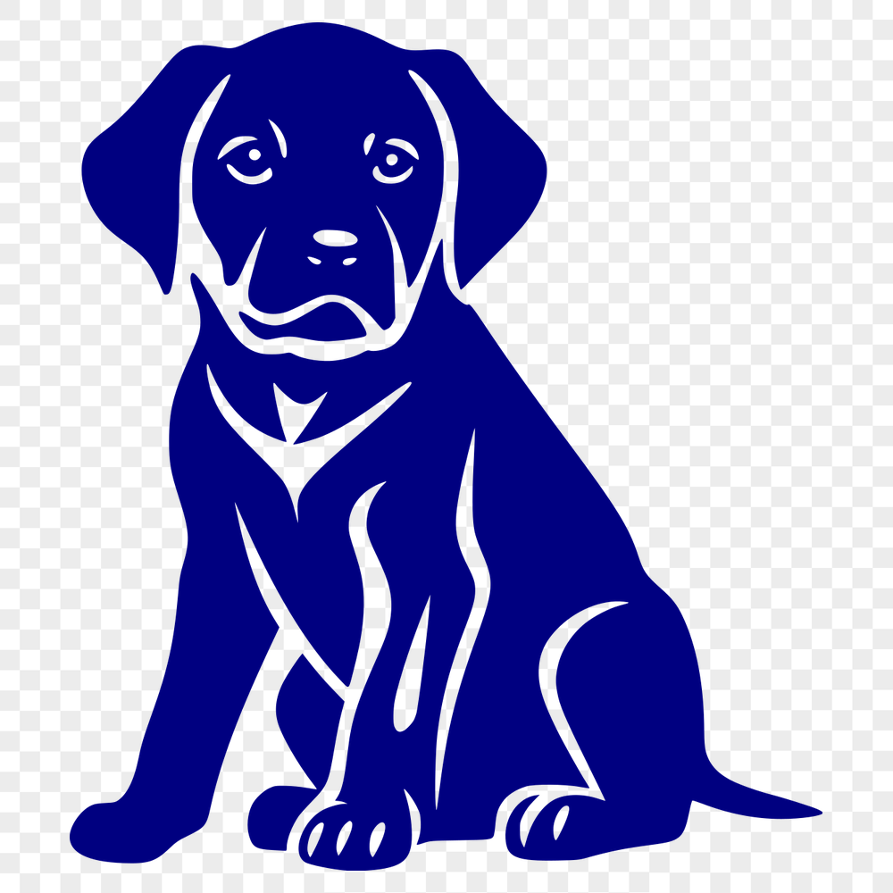 Stunning Sitting Labrador Retriever DXF